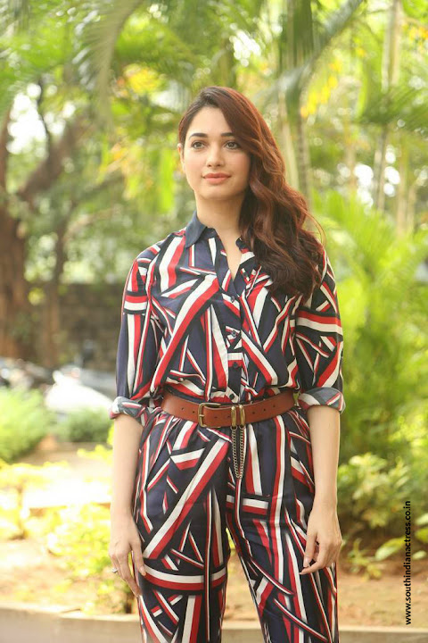 Tamannaah at Queen Movie Launch