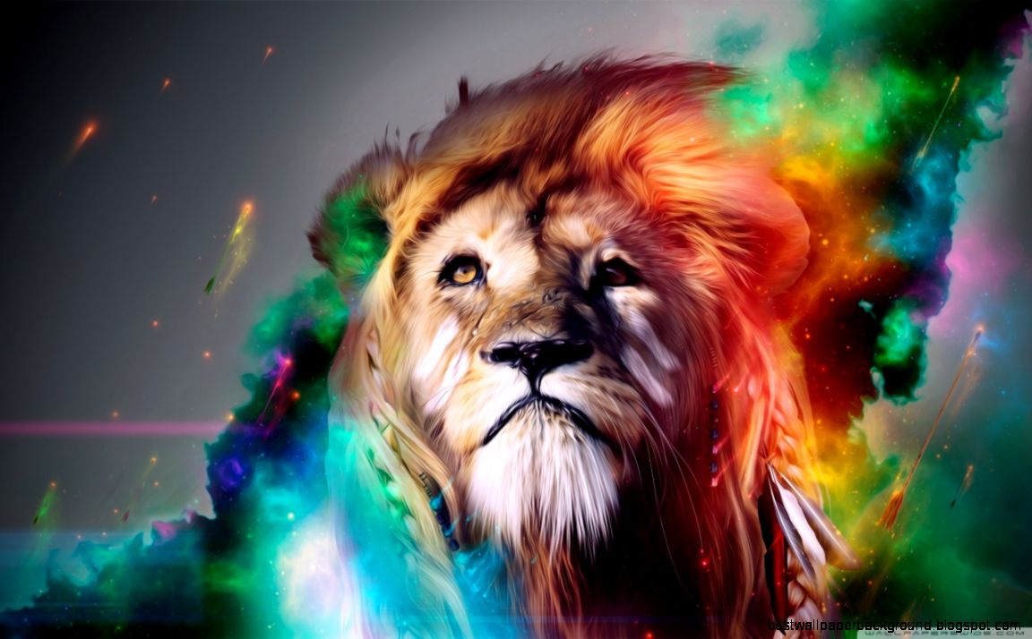 Beautiful Lion HD desktop wallpaper  Widescreen  High Definition