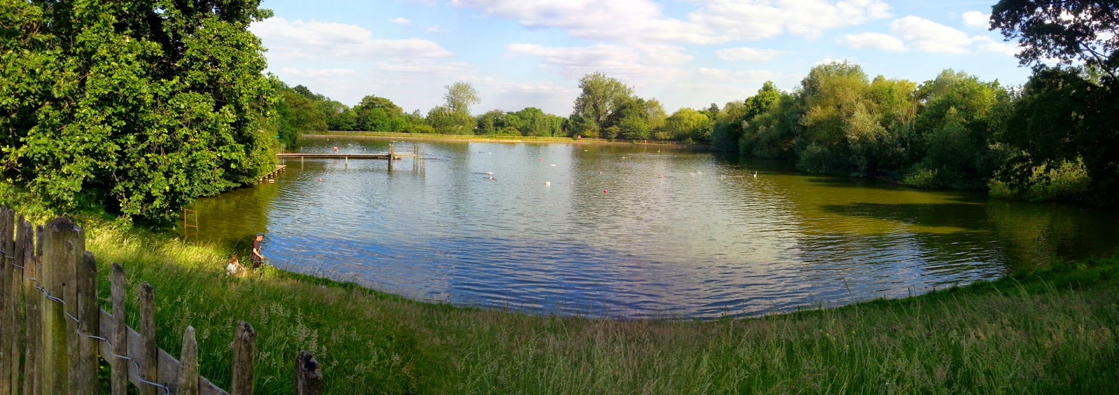 Highgate Men's Pond