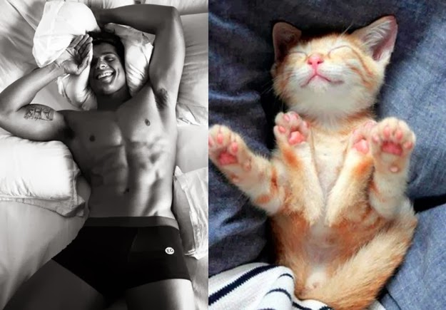 cute kittens and handsome men1