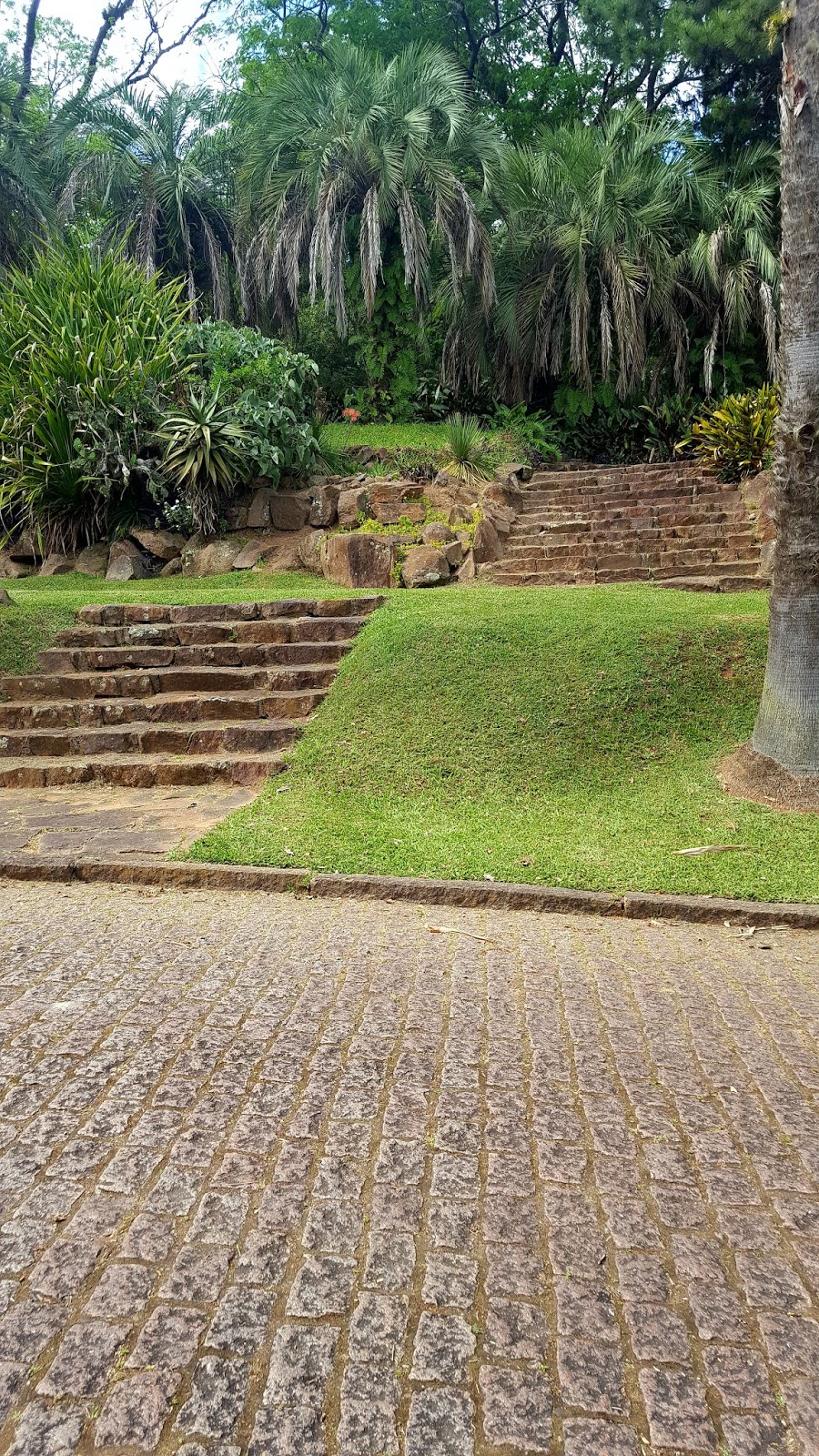 Jardim Botânico Jardim Botânico