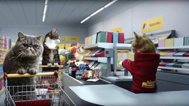 Γάτες σε σούπερ μάρκετ....άκρως χιουμοριστικό! (βίντεο)