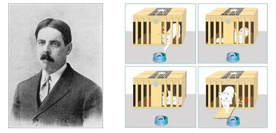 Contoh pembelajaran classical conditioning, operant