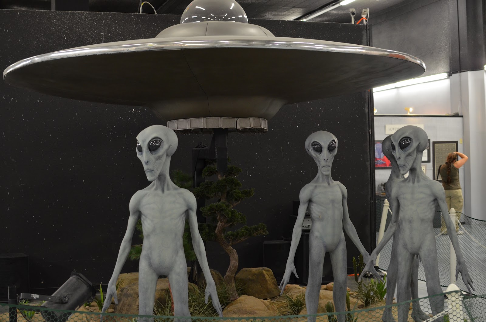 UFO. Argentina FernFlower Group