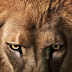 Los leones de Tsavo: ¿Demonios o asesinos en serie de la naturaleza?