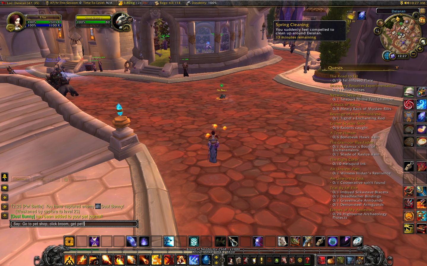 WoW Anonymous WTF 15 (How to get your own... Dust Bunny?!)