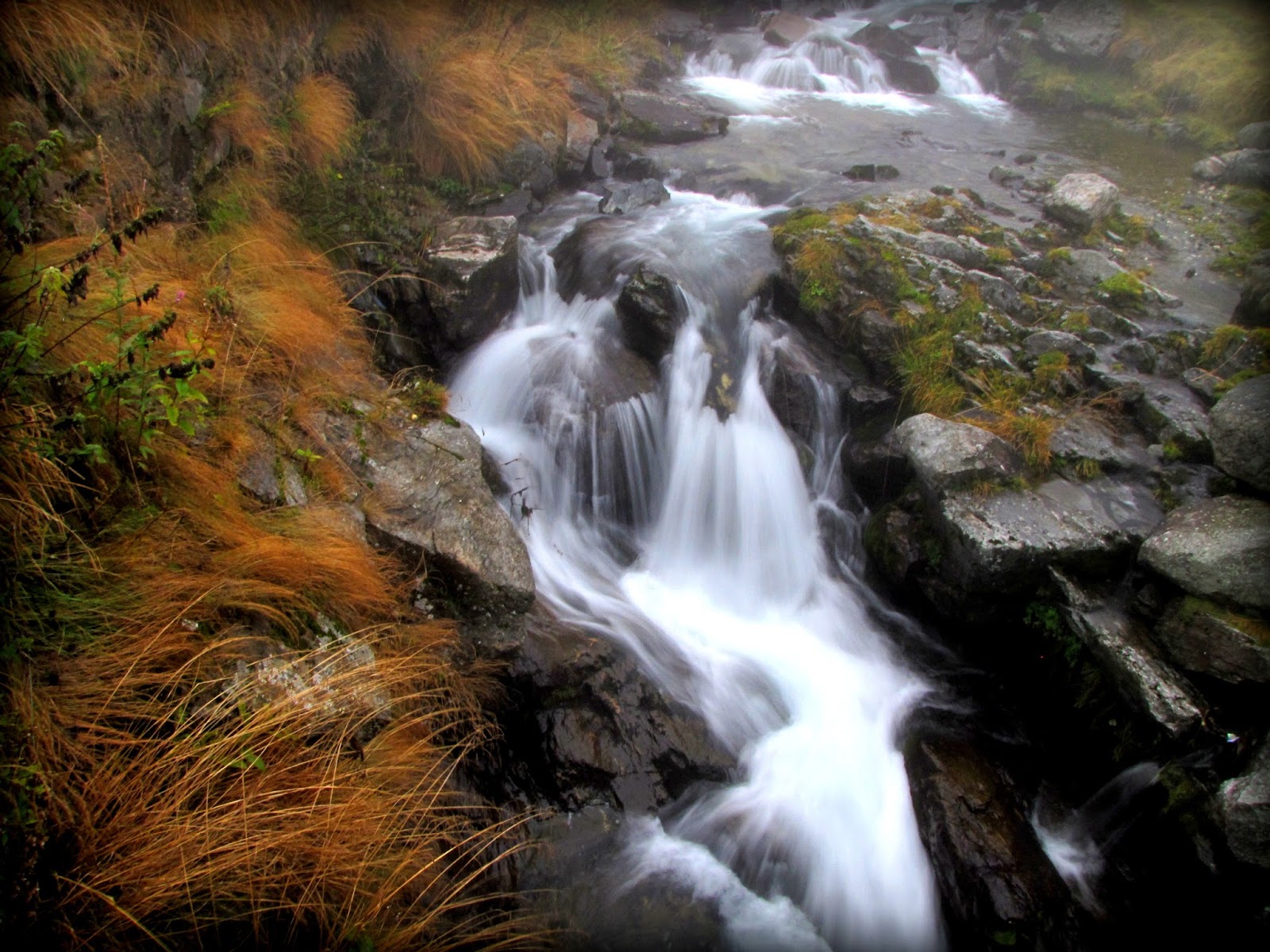 Hobby De Mamica Photo Responsabilitate Sociala Si Altele 