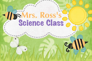 Mrs. Ross's Science Class: My Classroom