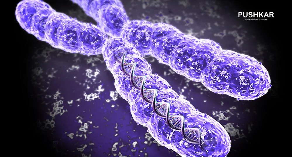 ФАРМАЦЕВТИЧЕСКАЯ КОМПОЗИЦИЯ, СОДЕРЖАЩАЯ КУРКУМИН И РЕСВЕРАТРОЛ, ДЛЯ РОСТА ВОЛОС, АНТИ-СТАРЕНИЯ И МЕДИЦИНЫ!