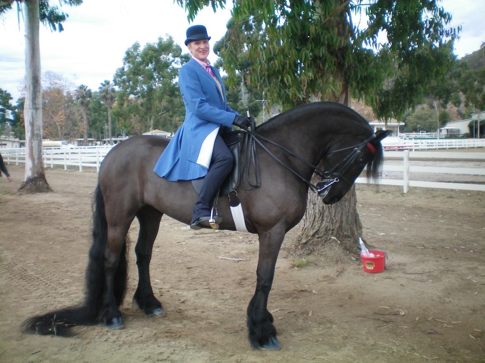 So Cal Jingle Bell Horse Show 1222012