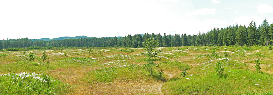 تلال ميما الغامضة..كيف تكونت؟