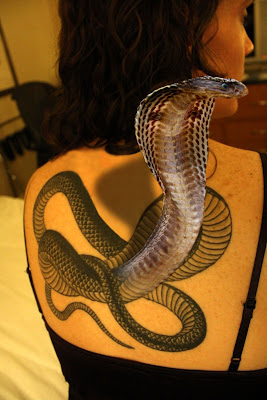 3D Snakes Tattoo on Upper Back