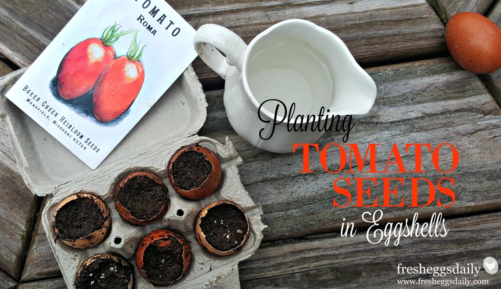 How to Prevent Blossom End Rot Using Eggshells Fresh Eggs Daily® with