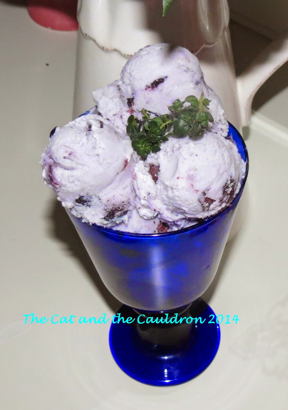 The Cat and the Cauldron Homemade Blueberry Lemon Thyme Ice Cream