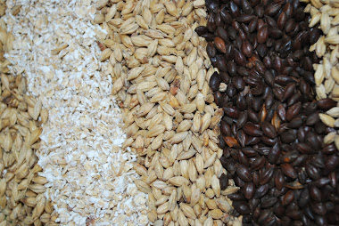 Various Types of Brewing Grains