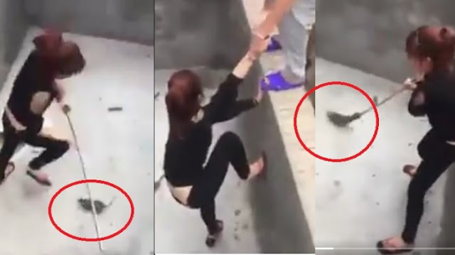Video: Masuk di Kolam Kosong, Wanita Cantik ini Bertarung dengan Tikus yang Agresif, Ini yang Terjadi