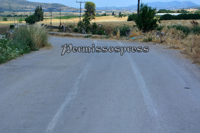 DSC 0326 | Lamianow.gr