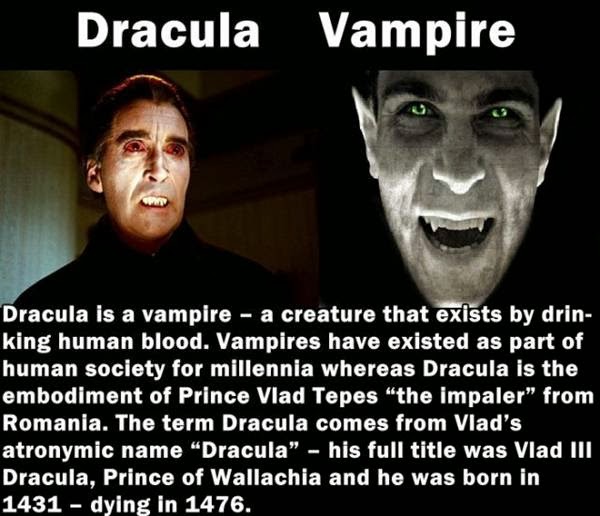 The Most Confusing Differences between Similar Things amazing facts