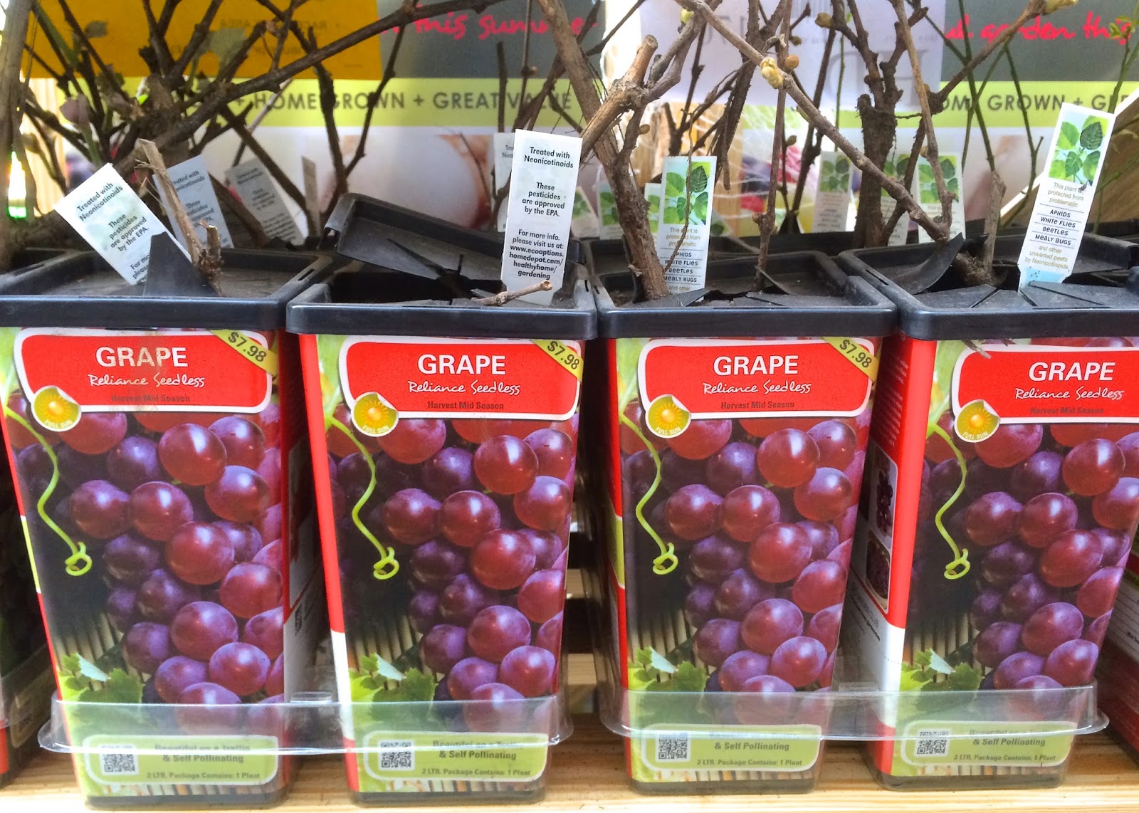 Nursery Labels For Neonicotinoid Pesticides Red House Garden Img 0771 Jpg