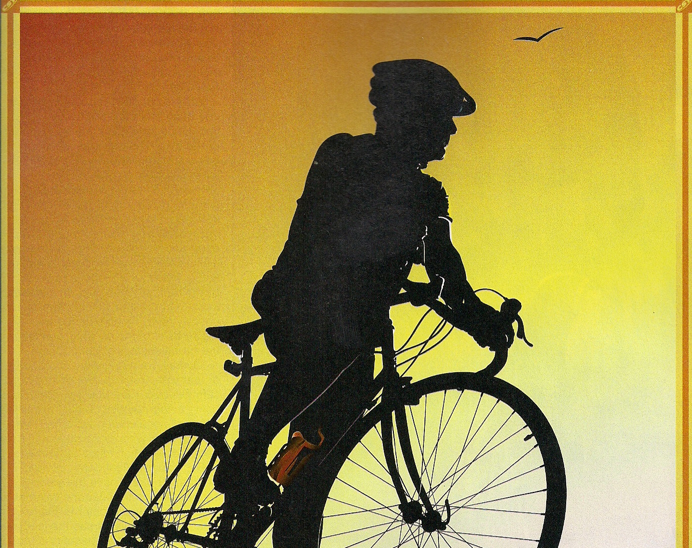 Emerson Villela Carvalho Jr., M.D. Groin Numbness and Bike Riding