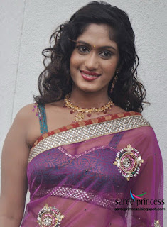 actress lavanya ina super hot transparent sari