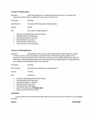 JAVA Programing Developer Resume 3