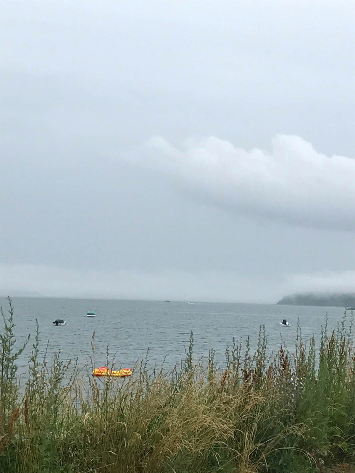 Tell Me a Story The Grey Zone