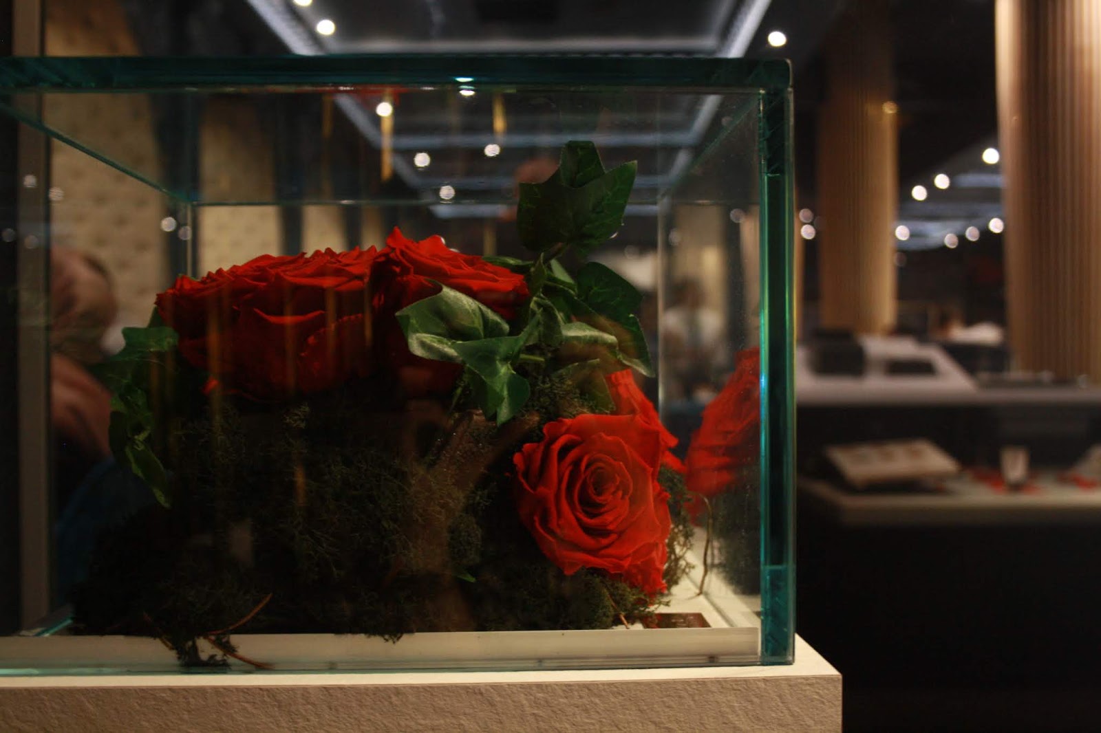 red roses in a display case at haute dolci, Leicester