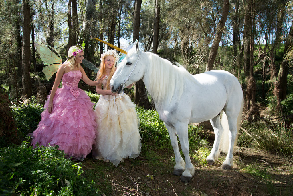 Model Photographic Unicorn & Fairies