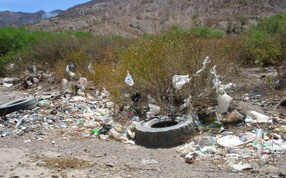 Planeta Verde: CONTAMINACIÓN AMBIENTAL EN LA FAUNA Y LA FLORA