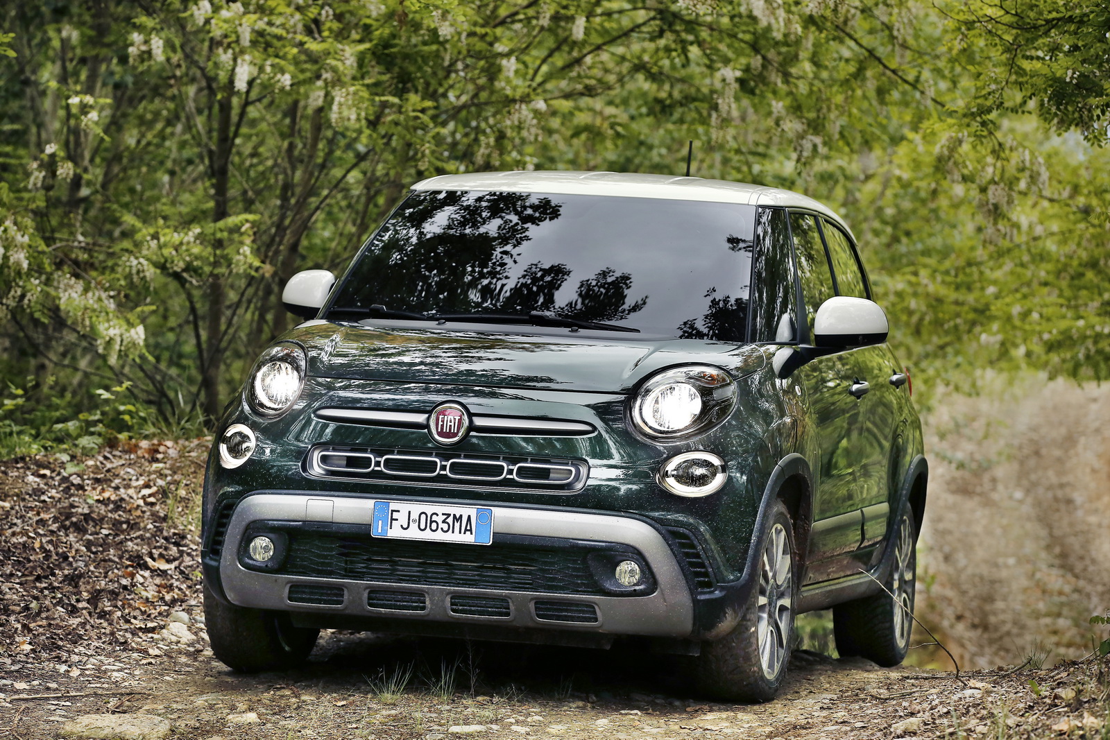 Fiat_New-500L_21.jpg