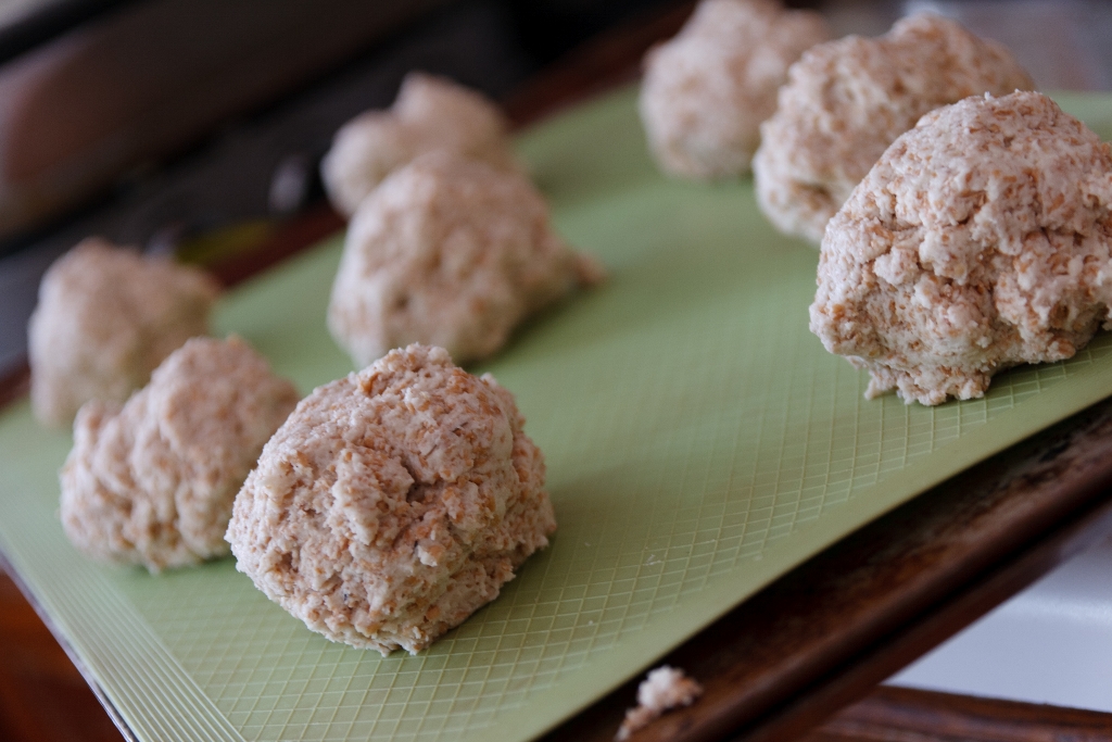Food for Thought WholeWheat Yogurt Biscuits
