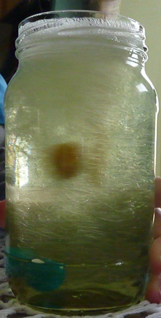 St. John's Mom: Tornado in a Jar