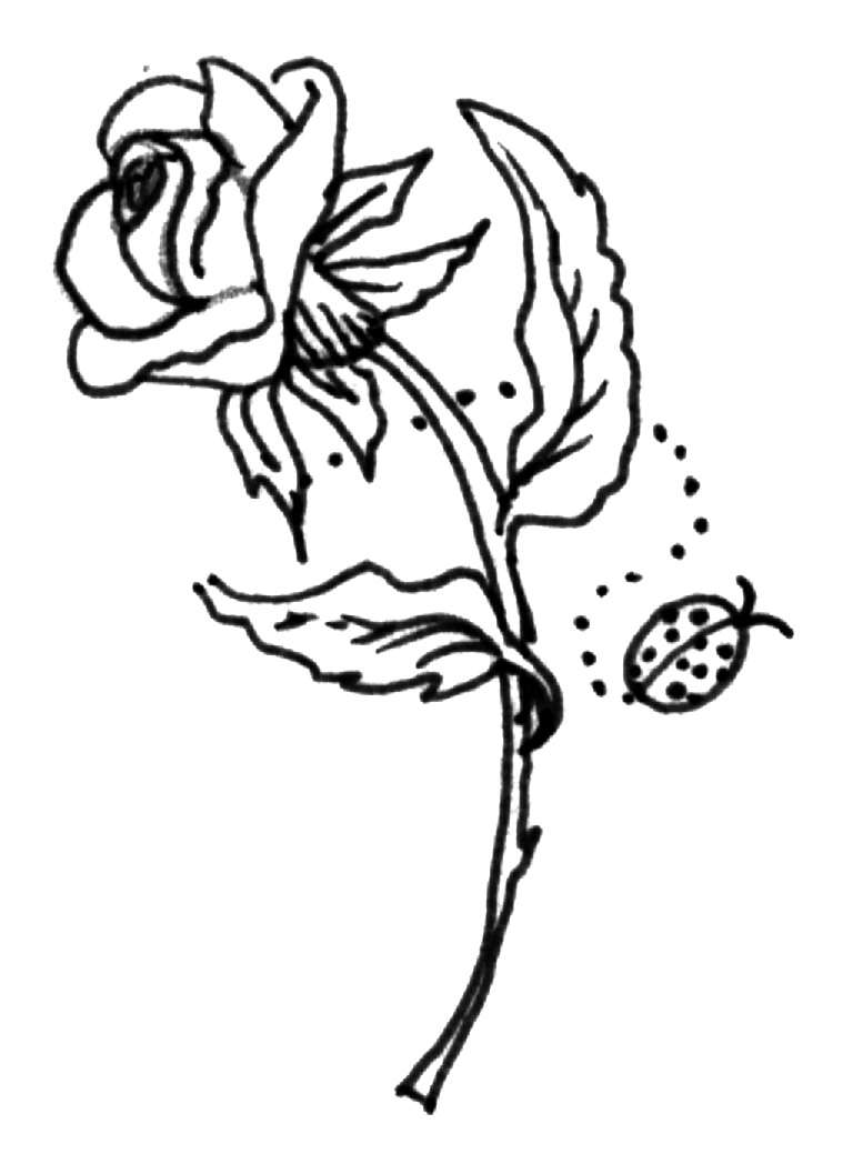 Krafty Kidz Center Roses Coloring Pages