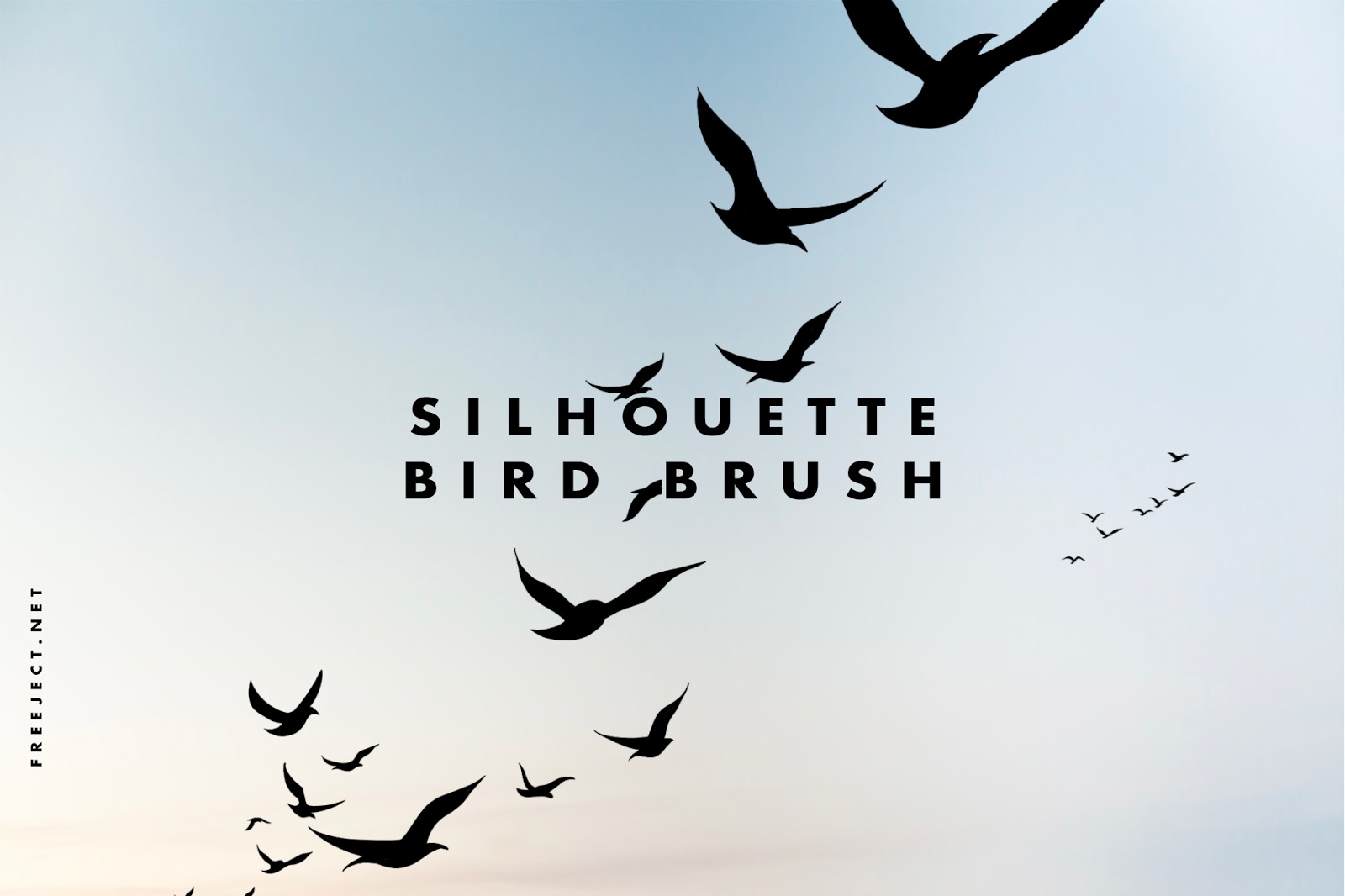 free bird silhouette brush procreate