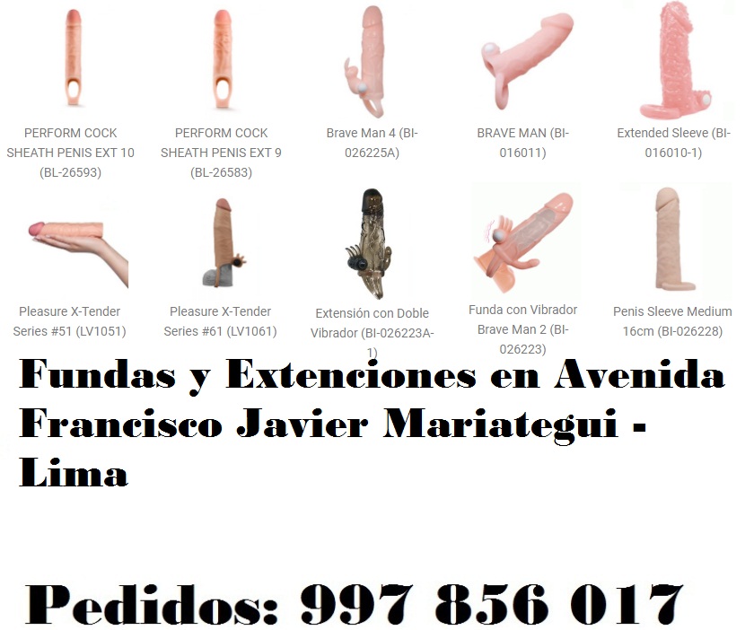 en Avenida Francisco Javier Mariategui - Lima