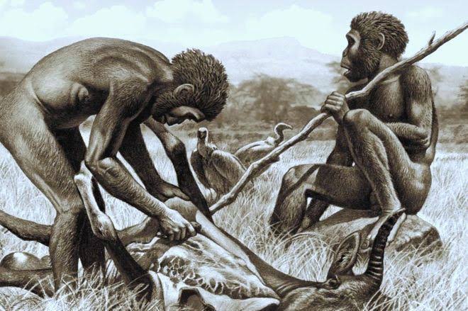 Kehidupan Manusia Purba Di Indonesia