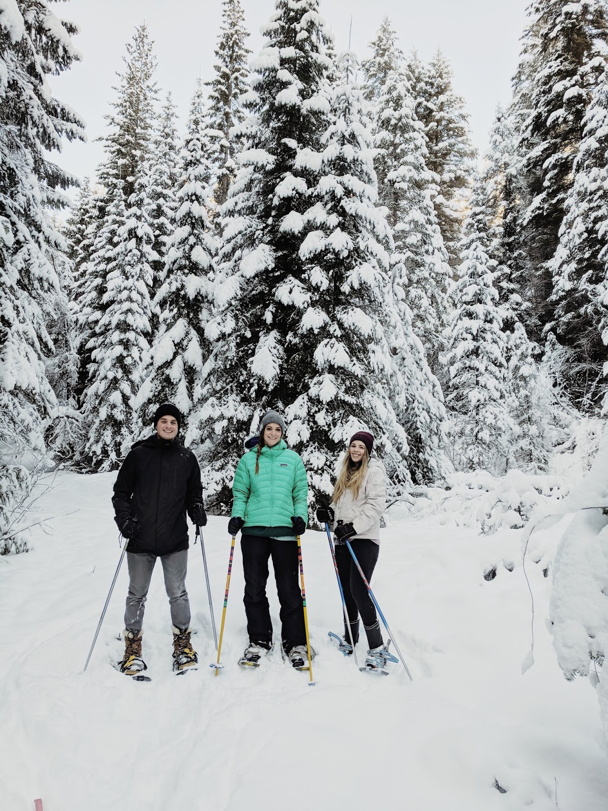 wallace, ID for christmas. note to self