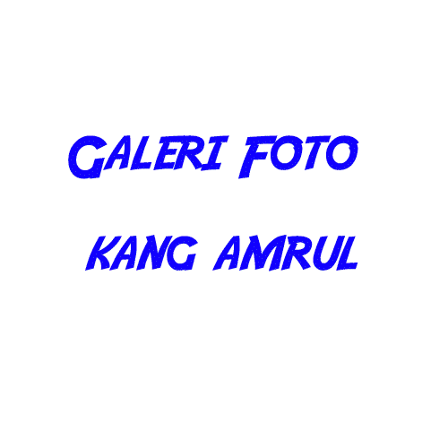 Galeri Foto