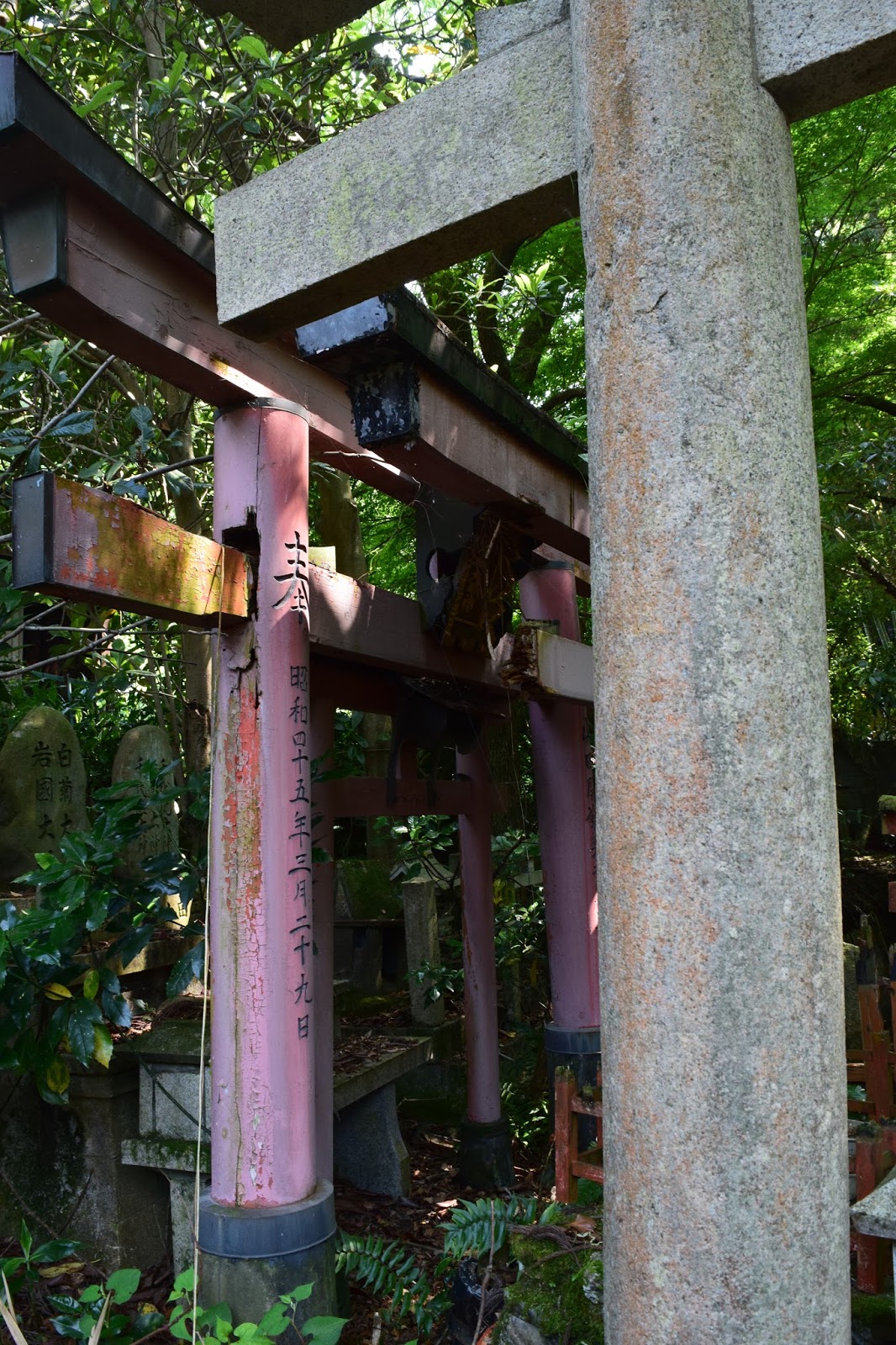 Abandoned shrine Torii