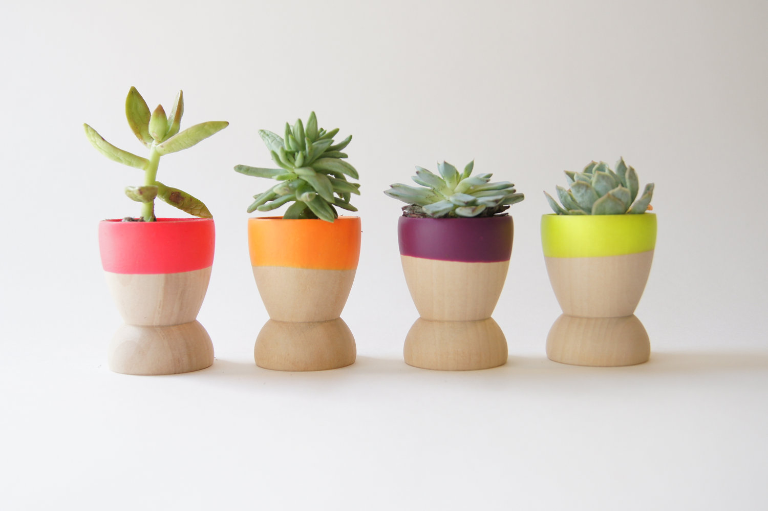 dipped wooden succulent planters