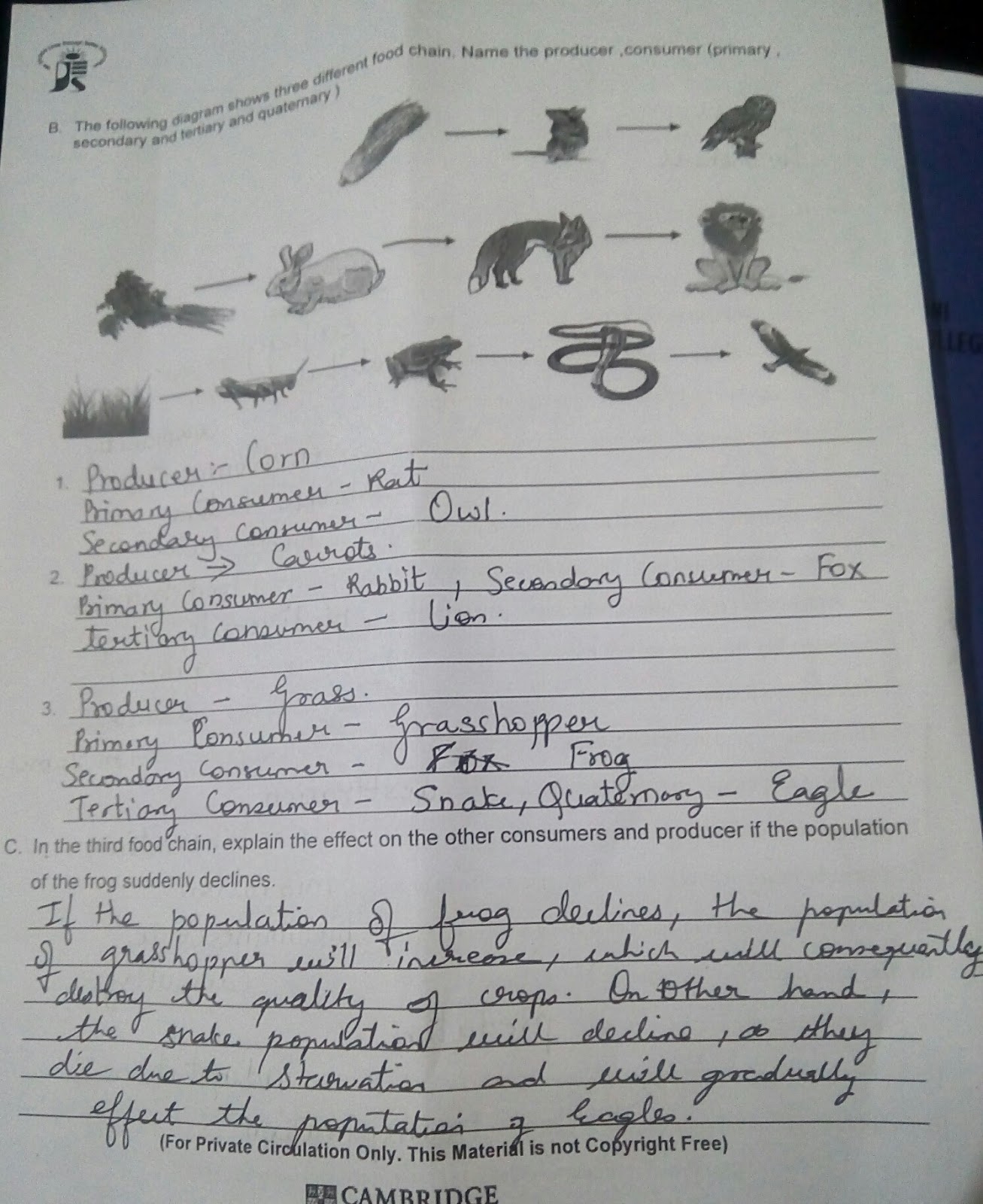 Studies: Living things in their environment worksheet