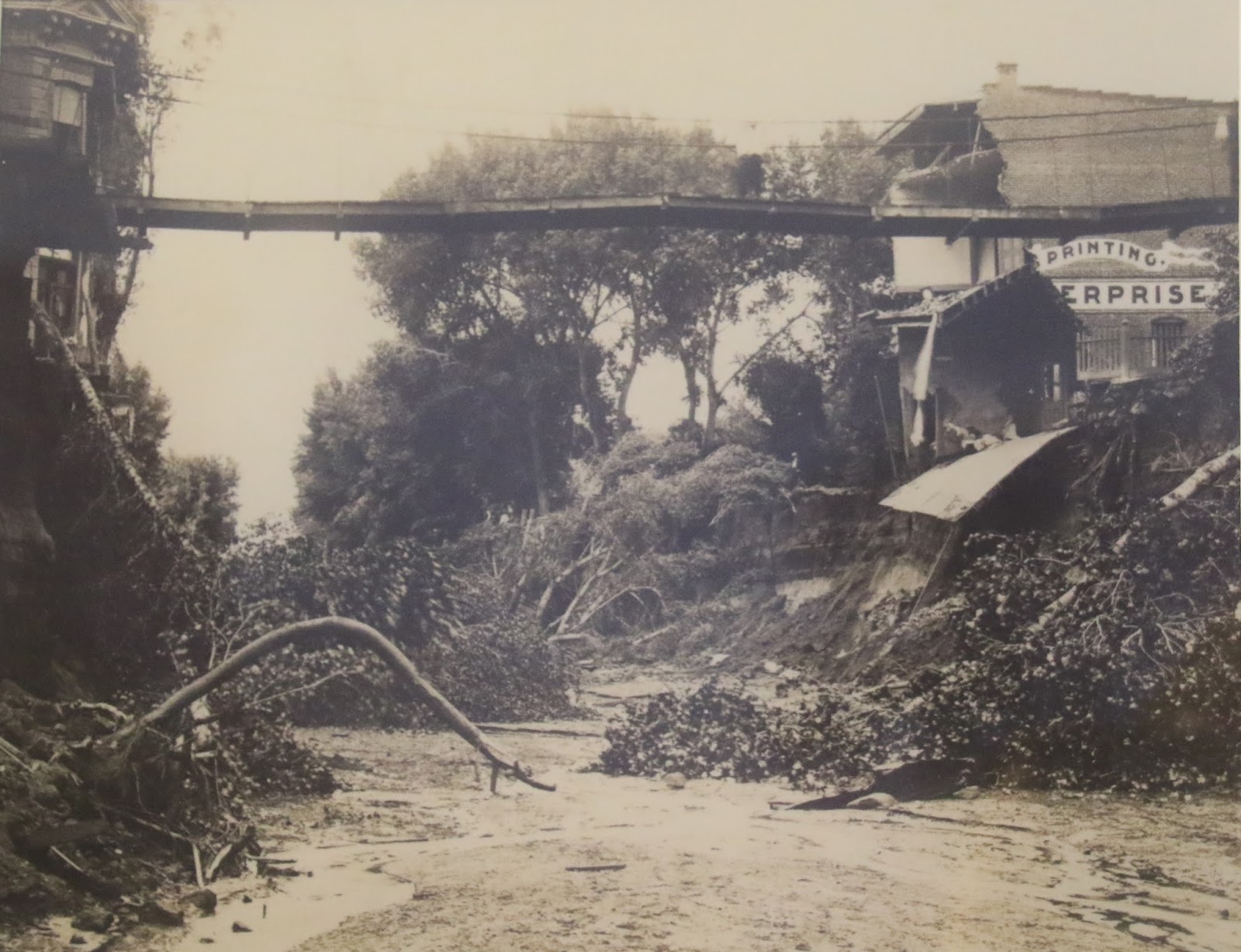 Travels with Twinkles Silver City, New Mexico