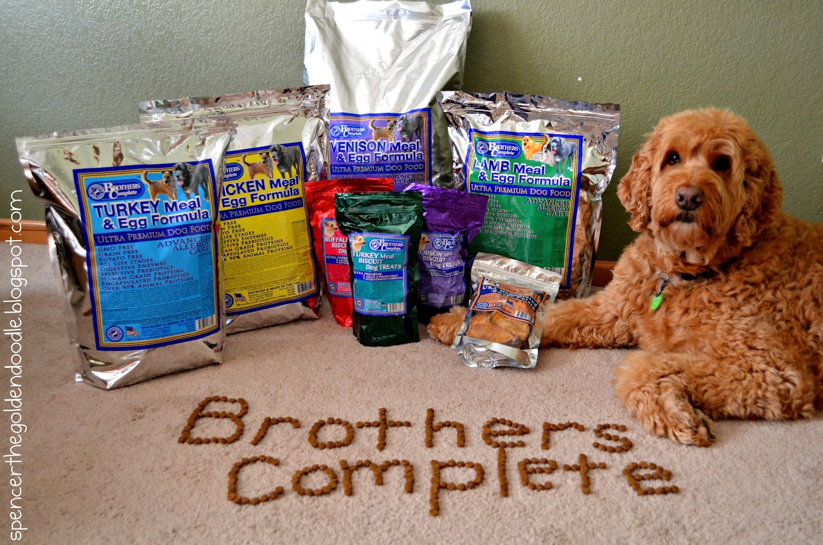Spencer the Goldendoodle Brothers Complete Review and Giveaway