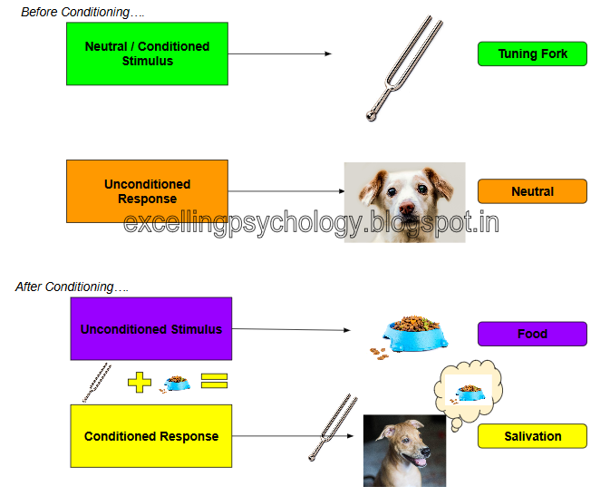 A Level Psychology Of Abnormality Explanation Of Phobias A Level Psychology Of Abnormality Explanation Of Phobias