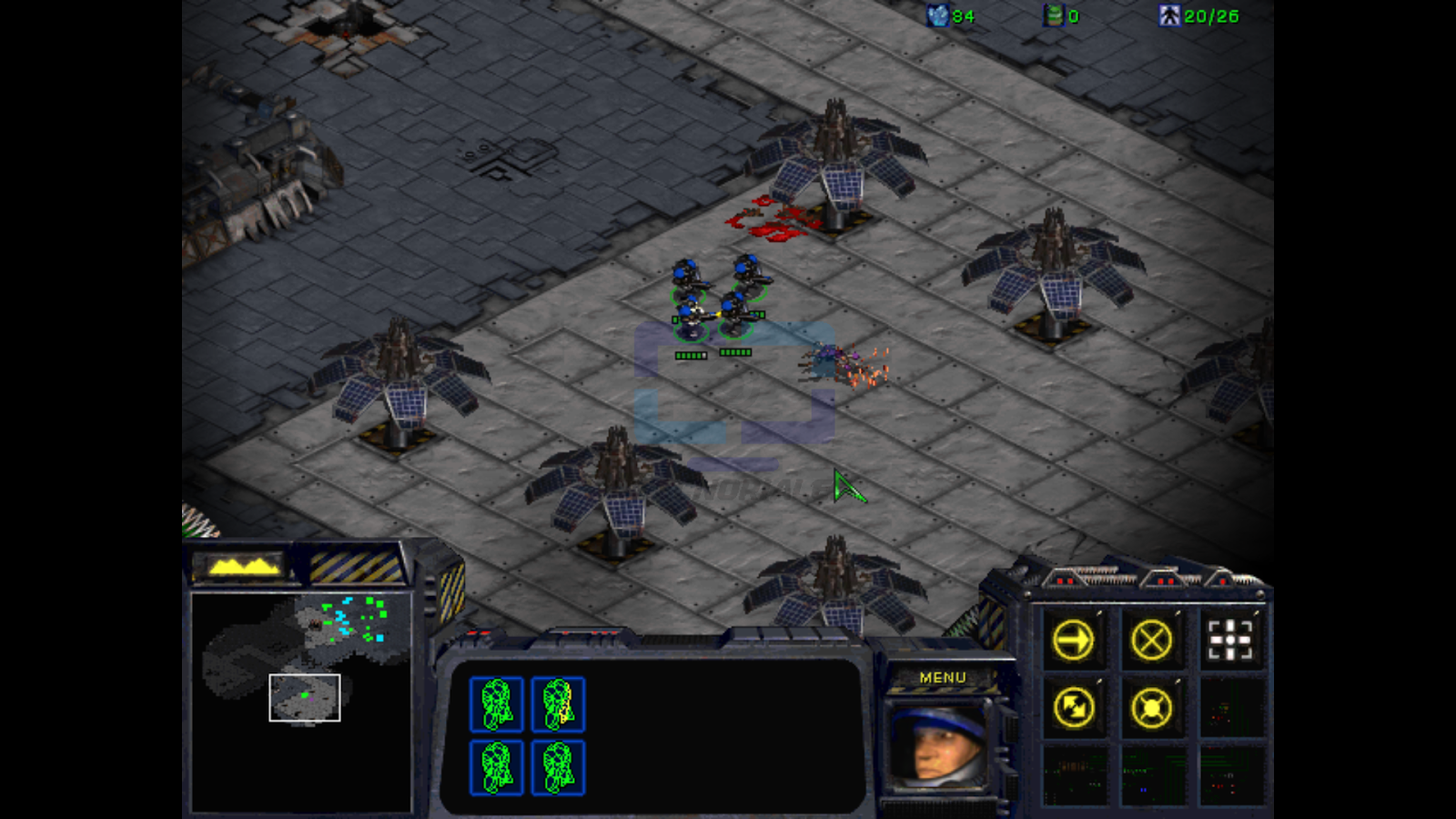 download starcraft brood war free