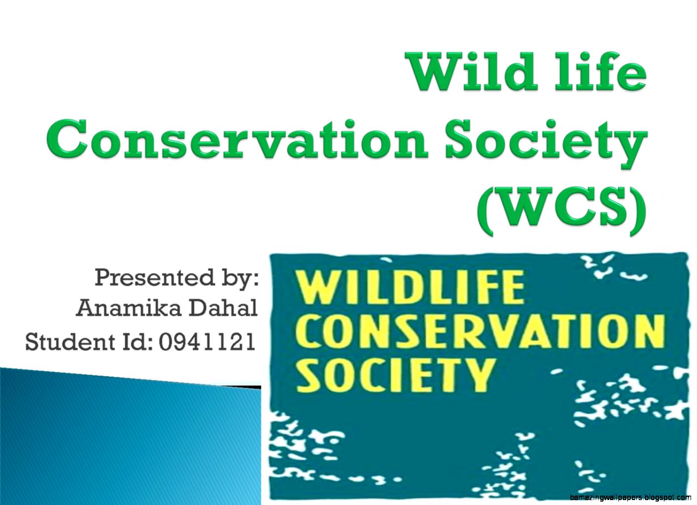DigInPix   Entity   Wildlife Conservation Society
