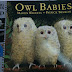 幼儿绘本 | Owl Babies 