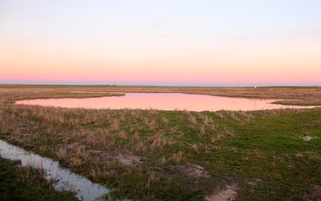 Arrebol en las lagunas de Villafáfila