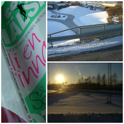 Hemresa%2Bfr%25C3%25A5n%2BLink%25C3%25B6ping - På väg hem efter en mysig tjejhelg i Linköping